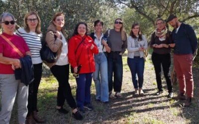 Posjet predstavnika Hollen Environmental Centra i Udruge Sunce našoj školi