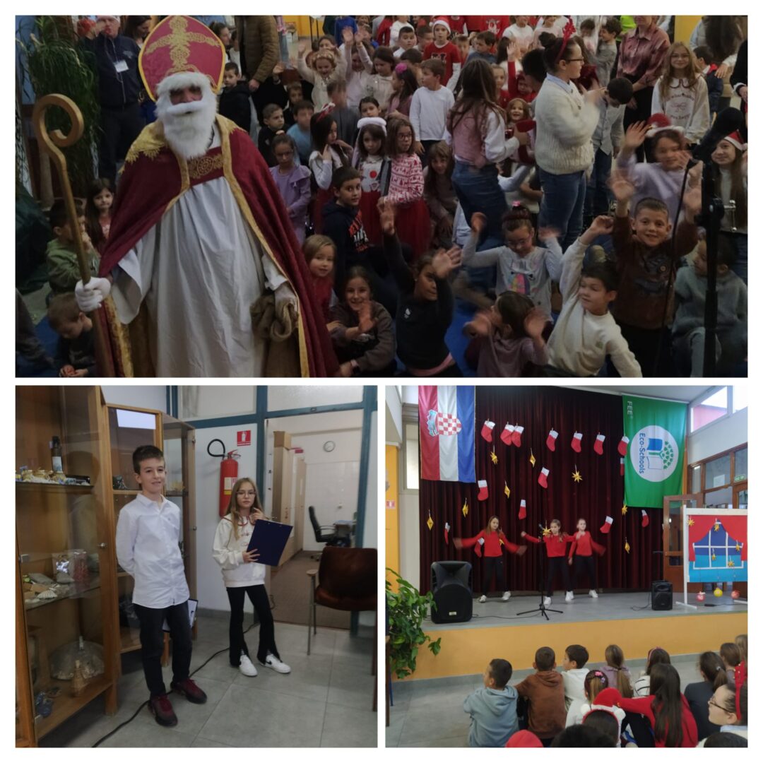 20251207_180417-COLLAGE