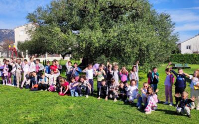 PROJEKTNI DAN – MASLINA