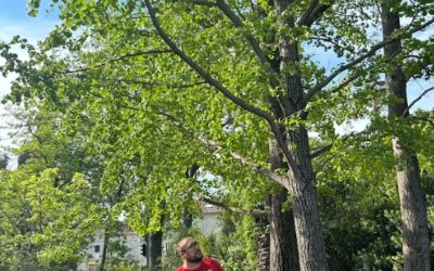 Posjet Školskom botaničkom vrtu u OŠ Ostrog